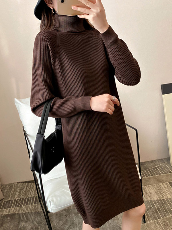 Brown Roll Neck Ribbed Shift Knitted Dress